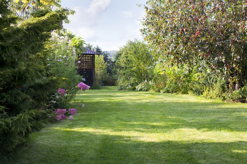 Landscape Improvement