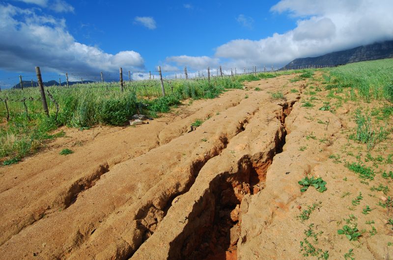 Erosion Control Service in Honolulu, HI
