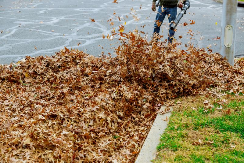 Professional Equipment for Fall Cleanup