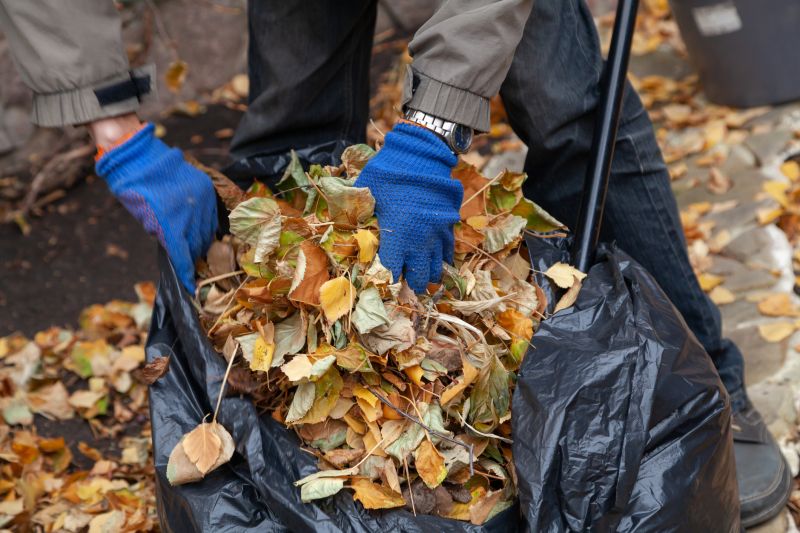 Team Performing Leaf Cleanup