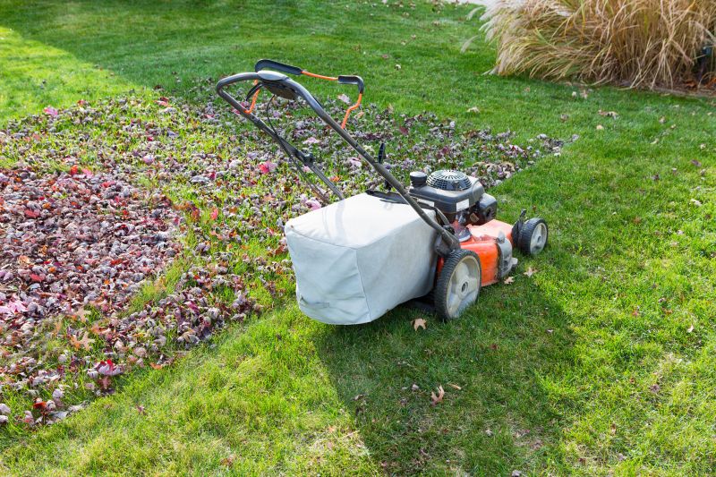 Tools for Lawn Maintenance
