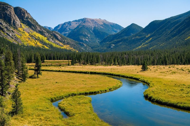 Landscape Improvement