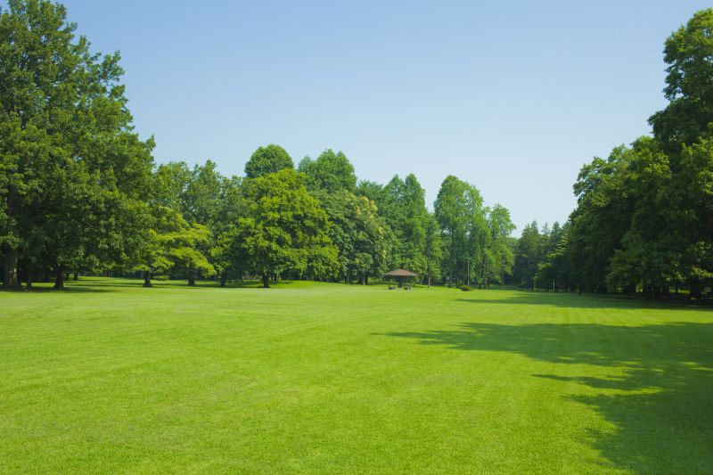 Landscape Improvement