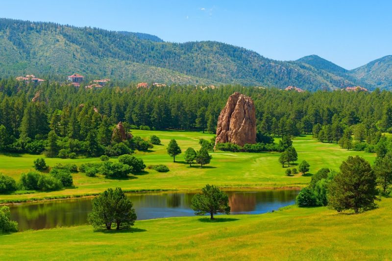 Landscape Improvement