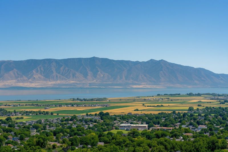 Landscape Improvement