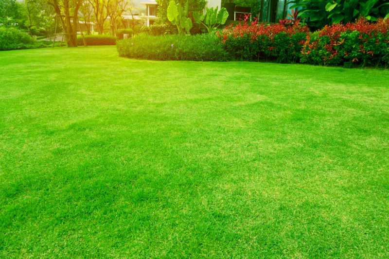 Lawn Renovation and Maintenance