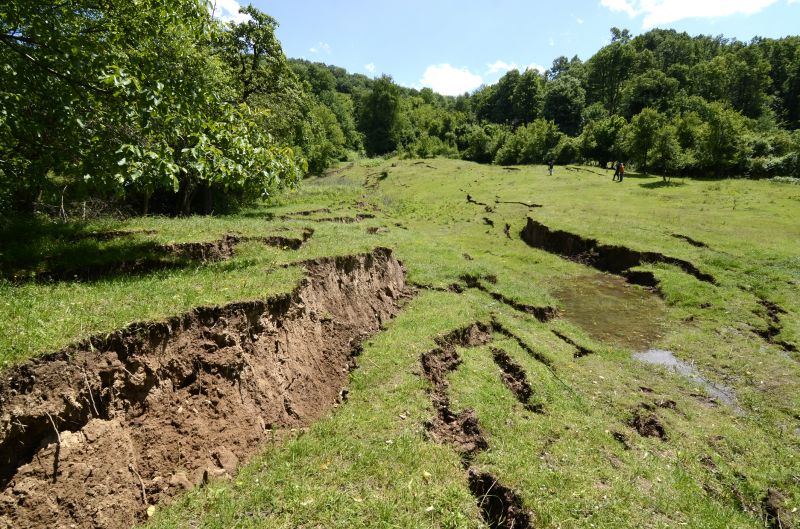 Lawn Erosion Repair in Honolulu, HI