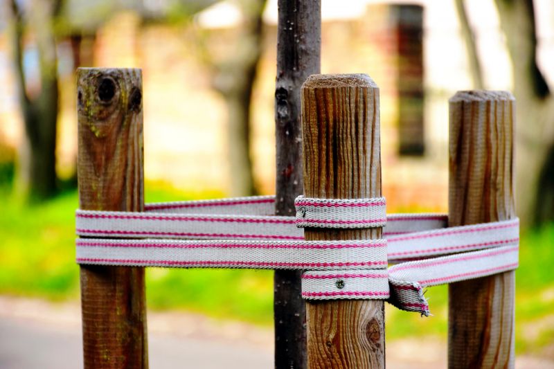 Tree Straightening Service in Reno, NV